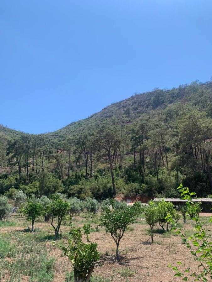 Doga Ciftlik Konaklama Μαρμαρίς Εξωτερικό φωτογραφία